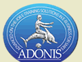 Advanced on-the-job e-Training Solutions for e-Business for SMEs